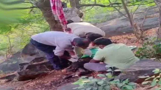 கவரமலை வனப்பகுதியில் ஆண் சடலம் மீட்பு