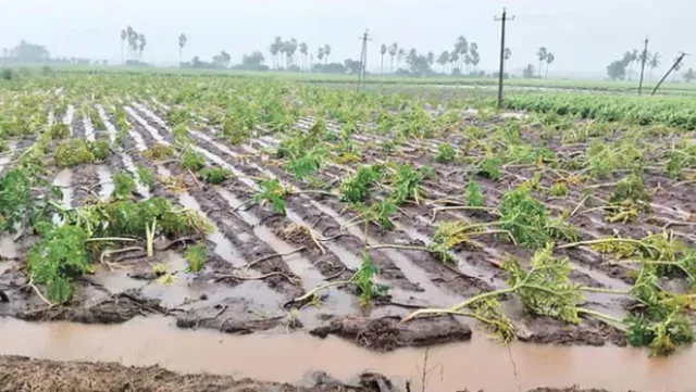 నేడు, రేపు ఏపీలో కేంద్ర బృందం పర్యటన