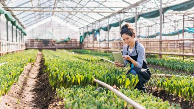 தற்காலத்தில் பிரகாசமான வேலைவாய்ப்புகளை வழங்கும் சிறந்த வேளாண் படிப்புகள்