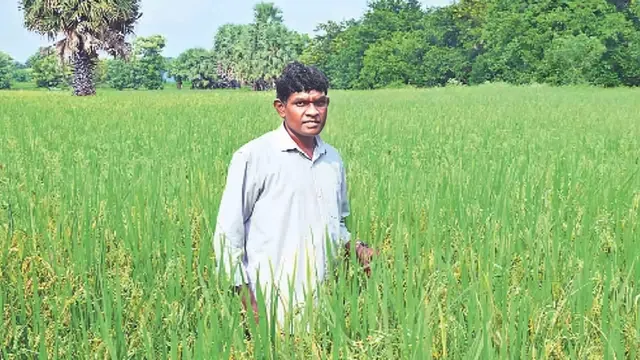 సైనిక సేవ తర్వాత రైతుగా మారిన సుబేదార్ మేజర్