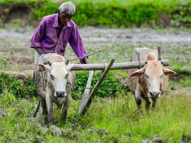 రైతులకు కేంద్రం గుడ్న్యూస్.. రబీ పంటల మద్దతు ధర పెంపు రైతులకు కేంద్రం గుడ్న్యూస్.. రబీ పంటల మద్దతు ధర పెంపు