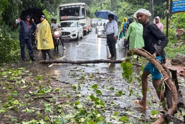 మారేడుమిల్లిలో నేలకొరిగిన భారీ వృక్షం.. స్పందించిన యువత