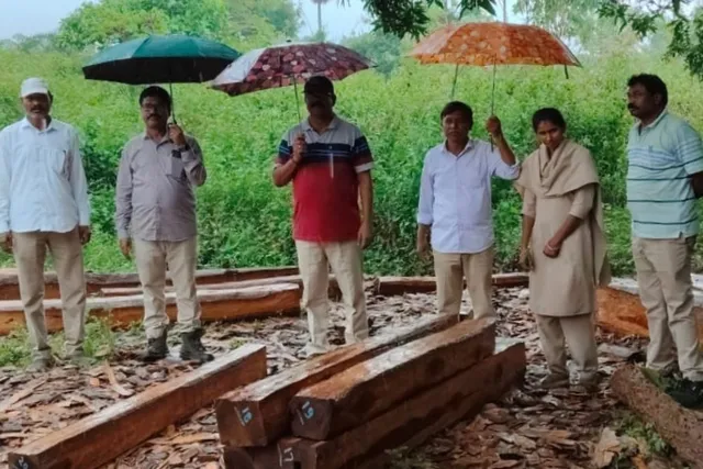 అంకంపాలెం బీట్‌లో రూ.7.05 లక్షల అక్రమ టేకు కలప స్వాధీనం