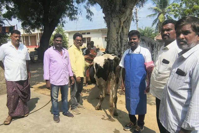 పశువులకు గర్భాశయ వ్యాధుల చికిత్స: వైద్య శిబిరం విజయవంతం
