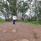 Pothigai