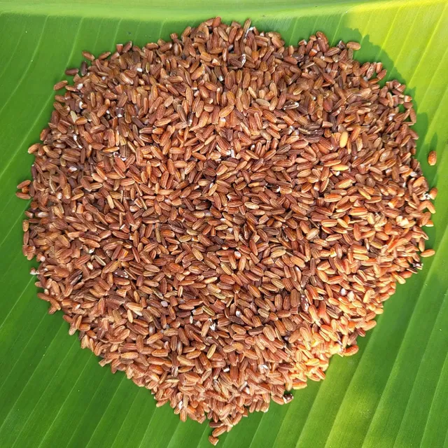 ఎర్ర బియ్యంతో జీర్ణక్రియకు మేలు: నిపుణులు