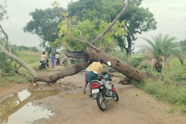 రహదారికి అడ్డంగా కూలిన చెట్టు.. రాకపోకలకు అంతరాయం