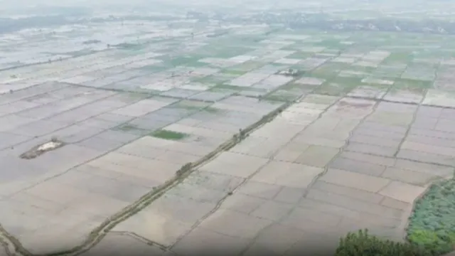ஸ்ரீரங்கத்தில் கனமழையால் 2,000 ஏக்கர் விளைநிலங்கள் நீரில் மூழ்கி நாசம்