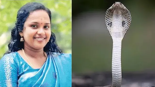 சமையல் கேஸ் சிலிண்டரில் பதுங்கியிருந்த பாம்பு கடித்து பெண் பலி
