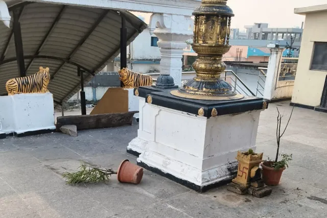 ఎల్లారెడ్డి అయ్యప్ప ఆలయంలో కోతుల బీభత్సం: భక్తుల ఆందోళన