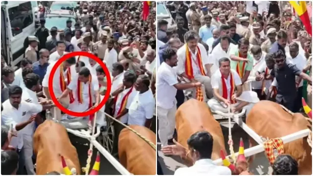 “CM விஜய்க்கு மாட்டு வண்டி ஓட்டியவர் தேடப்படும் குற்றவாளி”.. அதிமுக குற்றச்சாட்டு