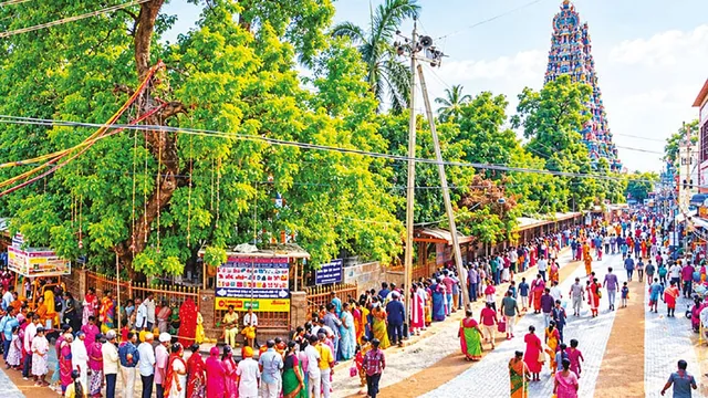 மீனாட்சி அம்மன் கோயிலில் நாளில் 1 லட்சம் பக்தர்கள் தரிசனம்