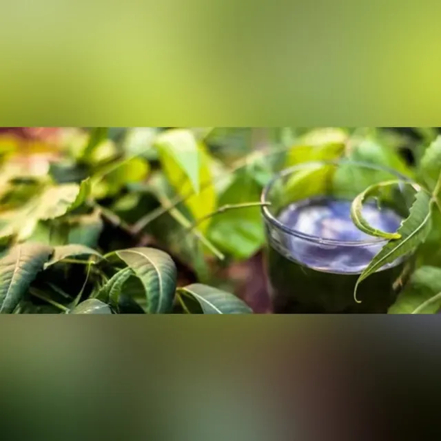 వేప నీటితో మొటిమలు, నల్ల మచ్చలు తగ్గుతాయా?