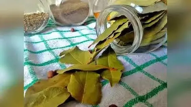 బిర్యానీ ఆకులతో కాళ్ల నొప్పులు తగ్గుతాయా?