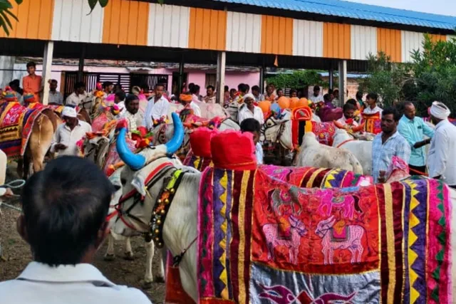 దాబా బి గ్రామంలో ఘనంగా పొలాల అమావాస్య వేడుకలు