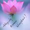 RAMESH R