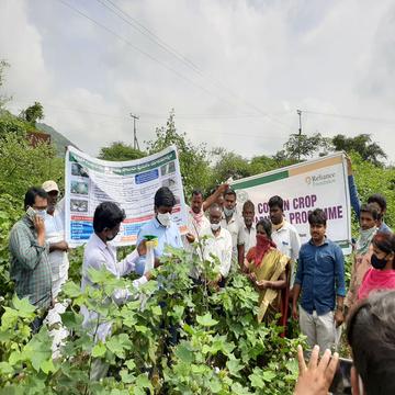 ప్రత్తి పంటలో గులాబీ రంగు పురుగుపై అవగాహన కార్యక్రమం