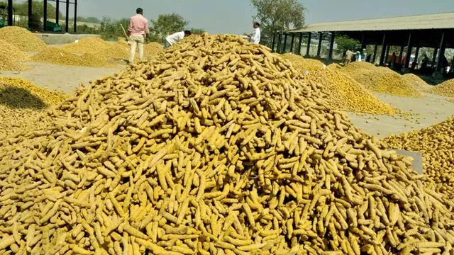 పసుపు క్వింటా రూ.18,400.. దుగ్గిరాల యార్డులో రికార్డు ధర పసుపు క్వింటా రూ.18,400.. దుగ్గిరాల యార్డులో రికార్డు ధర