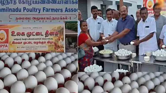 நாமக்கல்லில் 10,000 வேகவைத்த முட்டைகள் இலவச விநியோகம்! நாமக்கல்லில் 10,000 வேகவைத்த முட்டைகள் இலவச விநியோகம்!