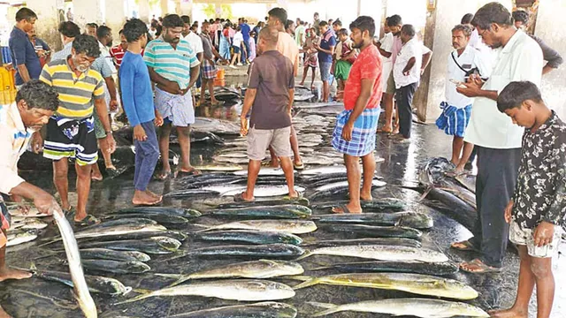 தசரா விழா நிறைவு: தூத்துக்குடியில் மீன்கள் விலை கிடுகிடு உயர்வு