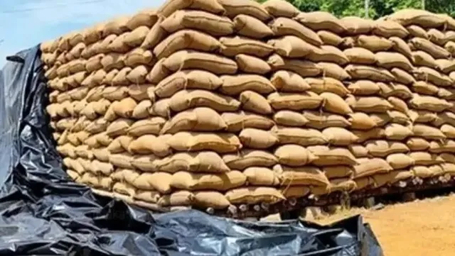 திருவாரூரில் 3,00,000 நெல் மூட்டைகள் தேக்கம்.. விவசாயிகள் வேதனை