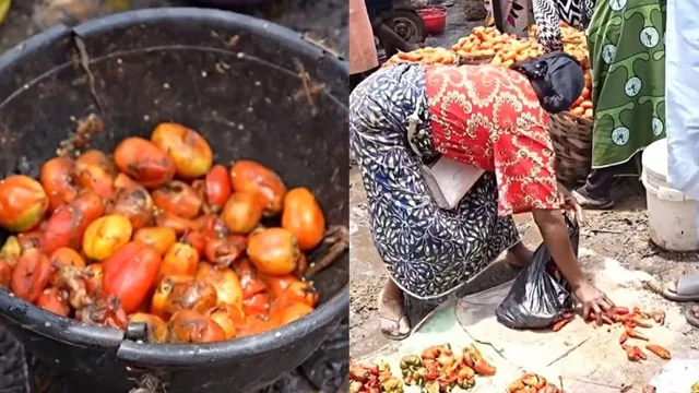 பொருளாதார நெருக்கடி: அழுகிய காய்கறிகளை வாங்கும் நைஜீரிய மக்கள்