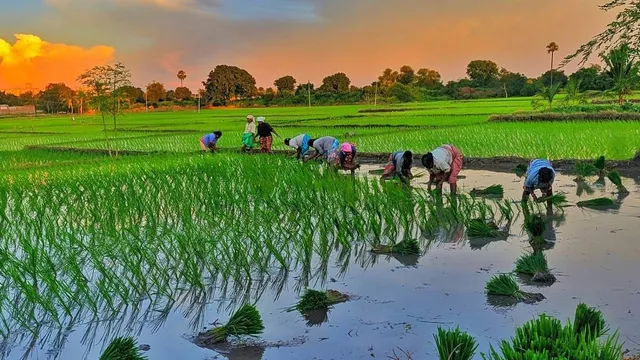 తెలంగాణలో కొత్త వ్యవసాయ కార్యక్రమం