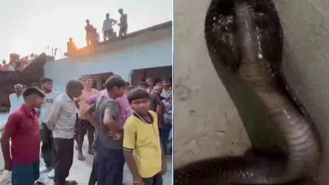 வீட்டிற்குள் திடீரென புகுந்த நாகப்பாம்பு: பரபரப்பான கிராமம்