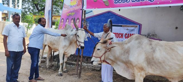 పశువులకు ఉచిత వైద్య శిబిరం