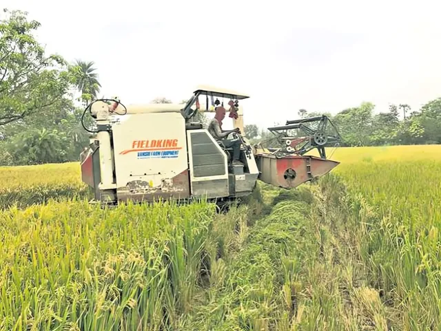 వరి కోతలు: సన్న ధాన్యానికి రికార్డు ధరలు, రైతుల మొగ్గు
