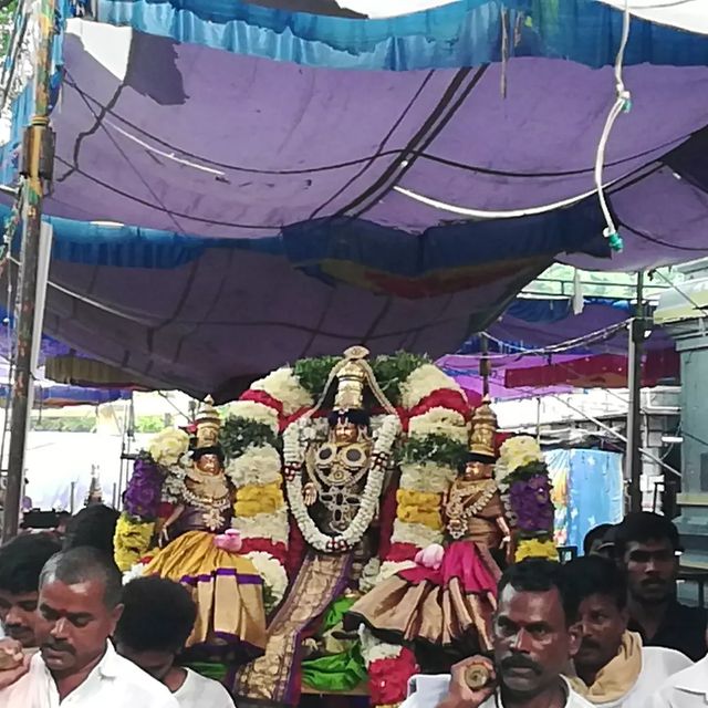 శ్రీ నారాపుర వేంకటేశ్వరస్వామి రథోత్సవం