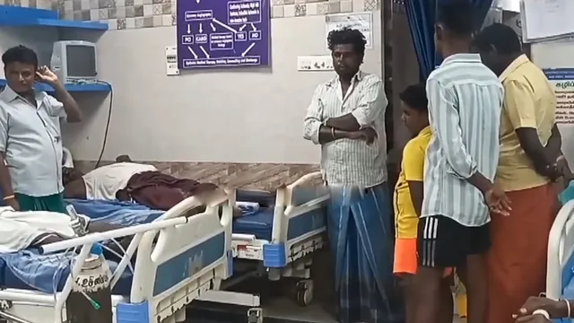 கோயிலில் கதம்ப வண்டுகள் கொட்டி தாக்குதல்: 25 பக்தர்கள் மருத்துவமனையில் அனுமதி! கோயிலில் கதம்ப வண்டுகள் கொட்டி தாக்குதல்: 25 பக்தர்கள் மருத்துவமனையில் அனுமதி!
