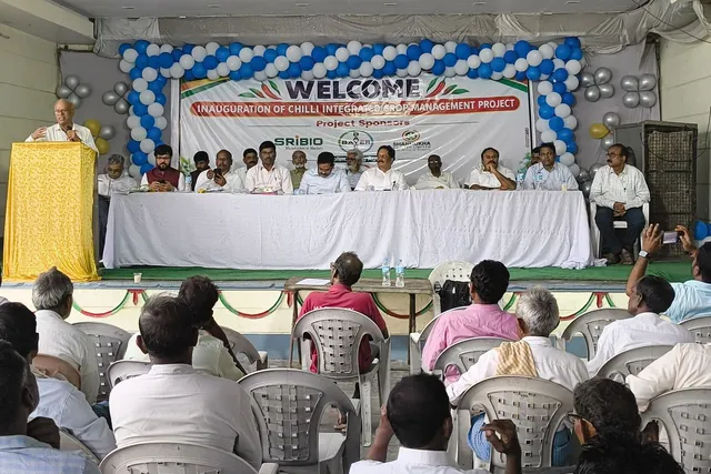 రైతులకు మిరప సాగుపై అవగాహన