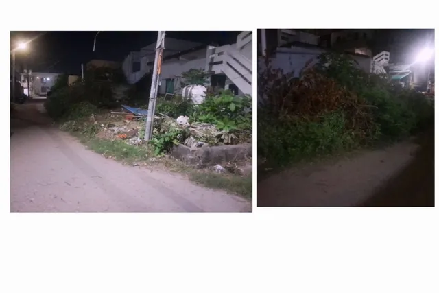 వరంగల్: దోమల బెడదతో ప్రజల ఆందోళన