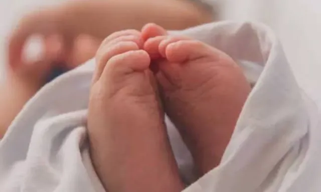 పాము కాటుతో ఆరు నెలల పసికందు మృతి పాము కాటుతో ఆరు నెలల పసికందు మృతి