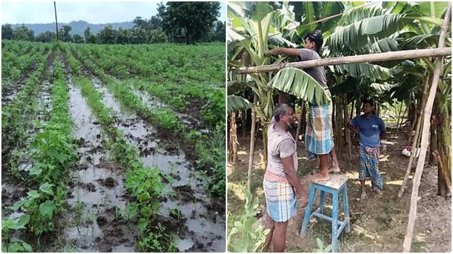 வடகிழக்குப் பருவமழை.. விவசாயிகளுக்கு வானிலை ஆய்வு மையம் அறிவுறுத்தல்