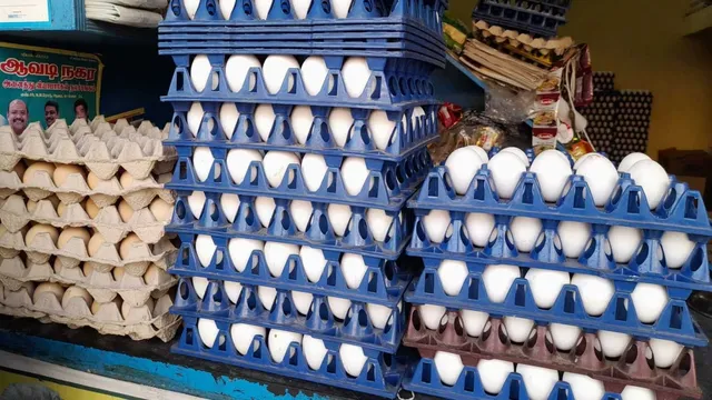 நாமக்கல்லில் முட்டை பண்ணை கொள்முதல் விலை உயர்வு நாமக்கல்லில் முட்டை பண்ணை கொள்முதல் விலை உயர்வு