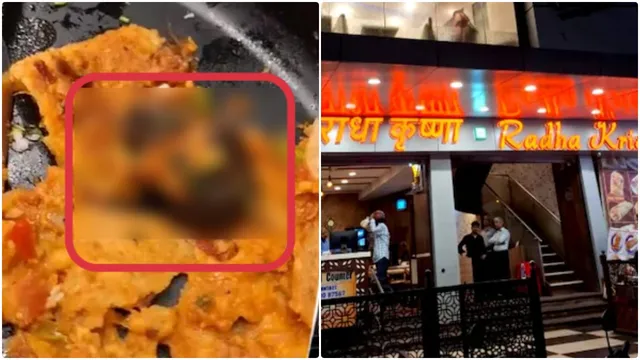 தோசைக்குள் இருந்த எலி.. மும்பை ஹோட்டலில் அதிர்ச்சி சம்பவம்