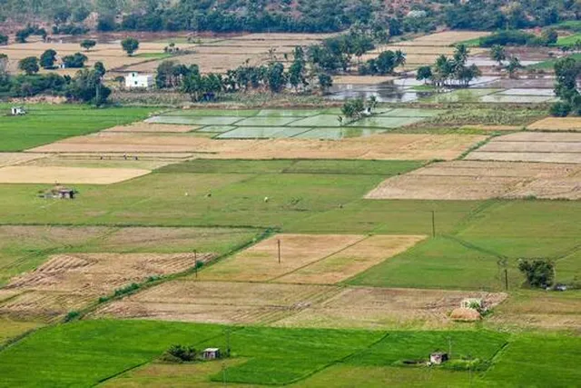 ఫ్రీహోల్డ్ హక్కులపై ప్రభుత్వం శుభవార్త