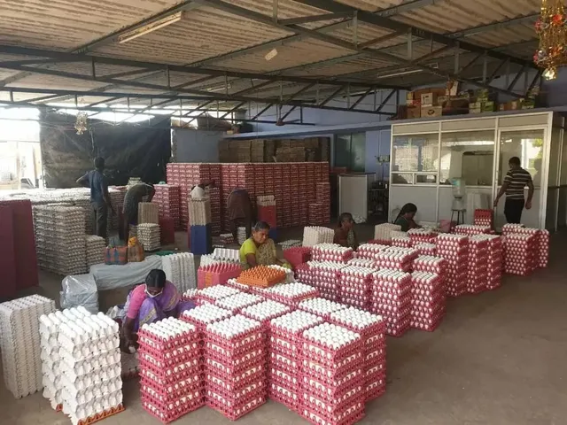 நாமக்கல் முட்டை கொள்முதல் விலை 20 காசுகள் சரிவு