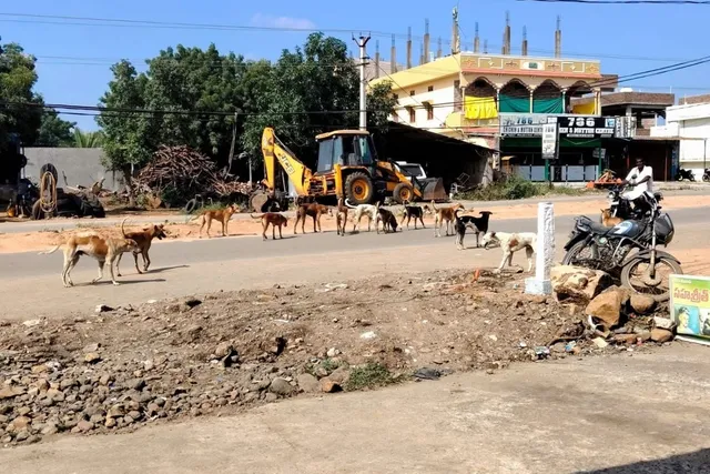 వట్ పల్లిలో కుక్కల స్వైర విహారం