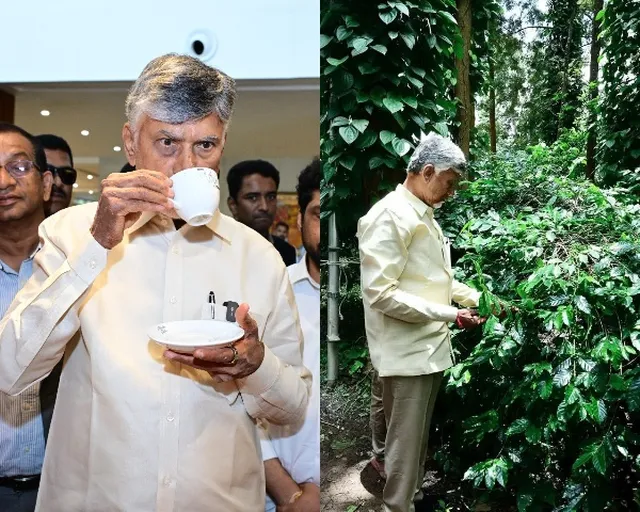అరకు కాఫీకి అంతర్జాతీయ గుర్తింపు తెస్తాం: సీఎం చంద్రబాబు
