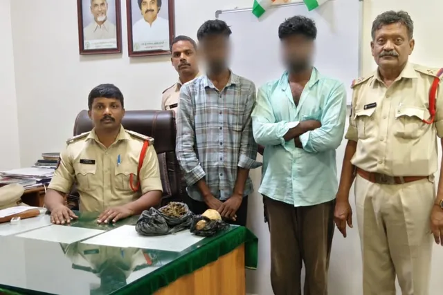 మురుకంబట్టులో 600 గ్రాముల గంజాయి పట్టివేత