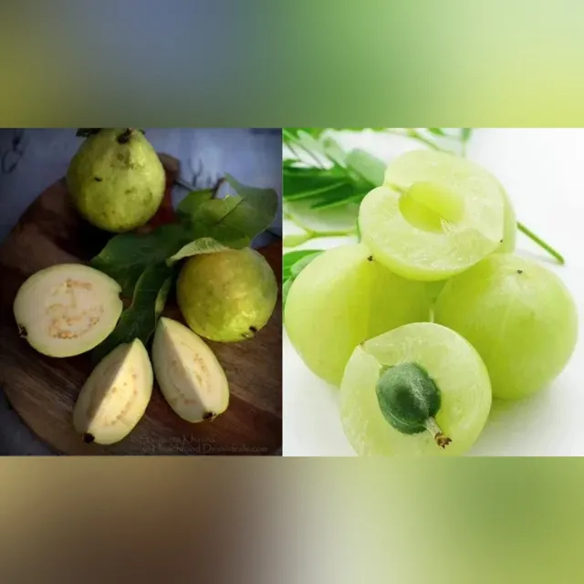 Guava and amla can help reduce cholesterol during monsoon: Experts