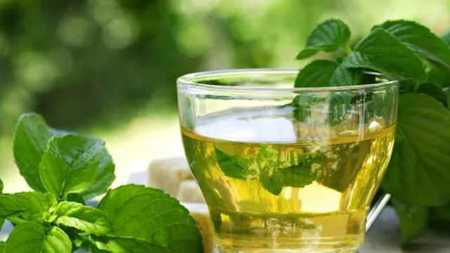 PCOD பிரச்சனைக்கு இயற்கை தீர்வு: இந்த தேநீர் குடியுங்கள்